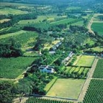 Boscehendal wine estate