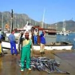 Hout Bay fishermen