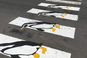 Caution: Penguins Crossing