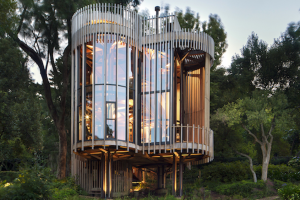 A Modern Day Treehouse