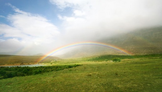 Rainbow in a meadow